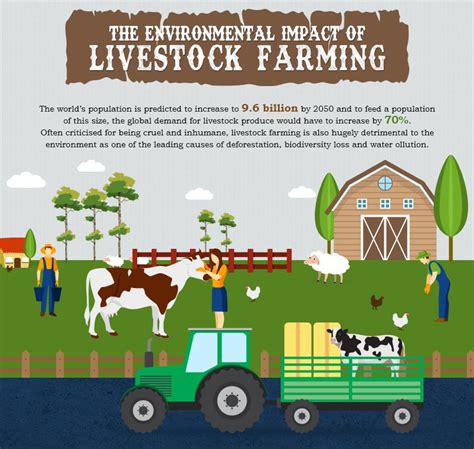 How Does Sustainable Animal Farming Affect The Environment